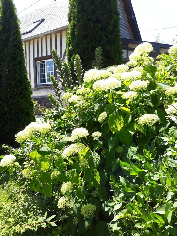 Gite 'Les Matins Calmes ' Cheffreville-Tonnencourt Exterior photo
